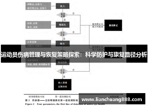 运动员伤病管理与恢复策略探索：科学防护与康复路径分析