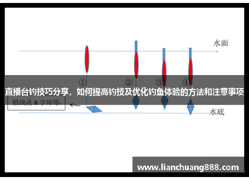 直播台钓技巧分享，如何提高钓技及优化钓鱼体验的方法和注意事项