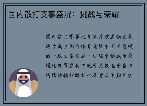 国内散打赛事盛况：挑战与荣耀