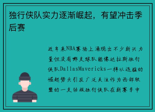 独行侠队实力逐渐崛起，有望冲击季后赛