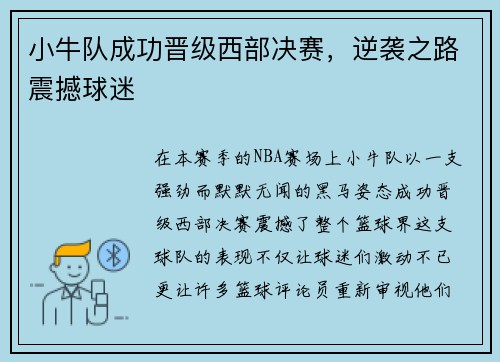 小牛队成功晋级西部决赛，逆袭之路震撼球迷